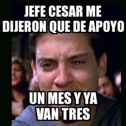 Meme Crying Peter Parker Jefe Cesar Me Dijeron Que De Apoyo Un Mes Y