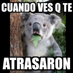 Meme Koala Cuando Ves Q Te Atrasaron