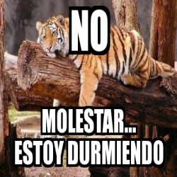 Meme Personalizado - no molestar... estoy durmiendo - 2183966