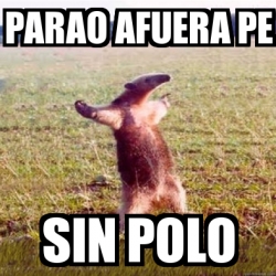 Meme Personalizado Parao Afuera Pe Sin Polo