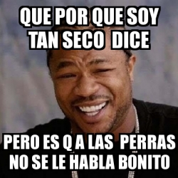 Meme Yo Dawg Que Por Que Soy Tan Seco Dice Pero Es Q A Las Perras No