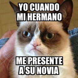 Meme Grumpy Cat Yo Cuando Mi Hermano Me Presente A Su Novia