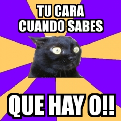 Meme Anxiety Cat Tu Cara Cuando Sabes Que Hay O