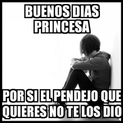 Meme First World Problems Buenos Dias Princesa Por Si El Pendejo Que