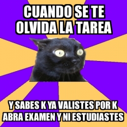 Meme Anxiety Cat Cuando Se Te Olvida La Tarea Y Sabes K Ya Valistes