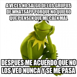 Meme Kermit The Frog A Veces No Salgo De Los Grupos De Whatsapp