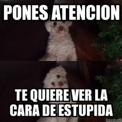 Meme Personalizado Pones Atencion Te Quiere Ver La Cara De Estupida