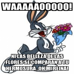 Meme Personalizado Waaaaaooooo Ni Las Belleza De Las Flores Se