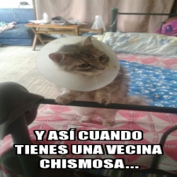 Meme Personalizado Y As Cuando Tienes Una Vecina Chismosa