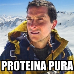 Meme Bear Grylls Proteina Pura