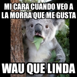 Meme Koala Mi Cara Cuando Veo A La Morra Que Me Gusta Wau Que Linda