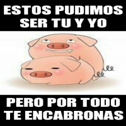 Meme Personalizado Estos Pudimos Ser Tu Y Yo Pero Por Todo Te