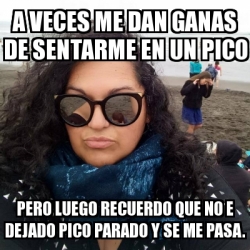 Meme Personalizado A Veces Me Dan Ganas De Sentarme En Un Pico Pero