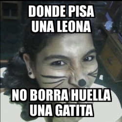 Meme Personalizado Donde Pisa Una Leona No Borra Huella Una Gatita