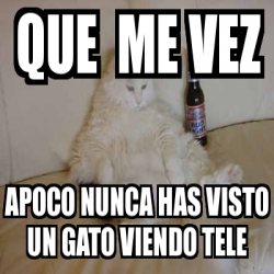 Meme Personalizado Que Me Vez Apoco Nunca Has Visto Un Gato Viendo