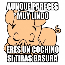 Meme Personalizado Aunque Pareces Muy Lindo Eres Un Cochino Si Tiras