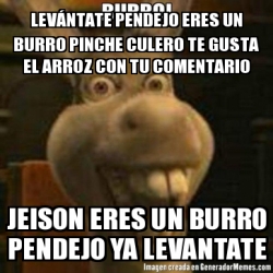 Meme Personalizado LevÃntate pendejo eres un BURRO pinche CULERO te