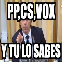 Meme Personalizado PP Cs Vox Y Tu Lo Sabes 30128270