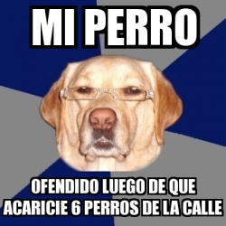 Meme Perro Racista Mi Perro Ofendido Luego De Que Acaricie Perros