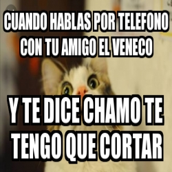 Meme Personalizado Cuando Hablas Por Telefono Con Tu Amigo El Veneco