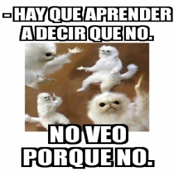 Meme Personalizado Hay Que Aprender A Decir Que No No Veo Porque