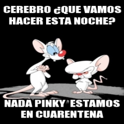 Meme Personalizado Cerebro Que Vamos Hacer Esta Noche Nada Pinky