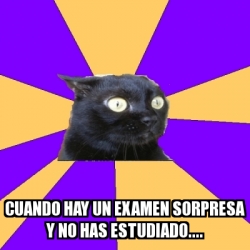 Meme Anxiety Cat Cuando Hay Un Examen Sorpresa Y No Has Estudiado