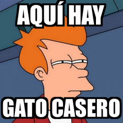 Meme Futurama Fry Aquí hay Gato casero 31668359