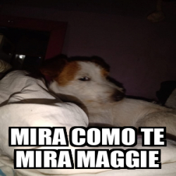 Meme Personalizado Mira Como Te Mira Maggie