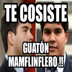 Meme Personalizado Te cosiste Guatón mamflinflero 31724956