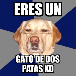 Meme Perro Racista Eres Un Gato De Dos Patas Xd 32007790