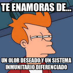 Meme Futurama Fry Te Enamoras De Un Olor Deseado Y Un Sistema