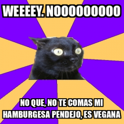 Meme Anxiety Cat Weeeey Nooooooooo No Que No Te Comas Mi Hamburgesa