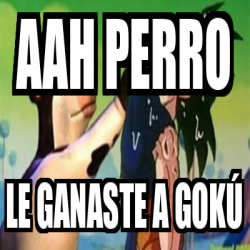 Meme Personalizado AAH PERRO LE GANASTE A GOKÚ 32355668