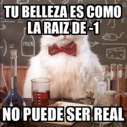 Meme Chemistry Cat TU Belleza Es Como La Raiz De 1 No Puede Ser Real