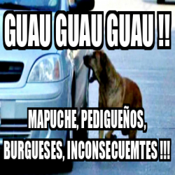 Meme Personalizado guau guau guau mapuche pedigueños burgueses