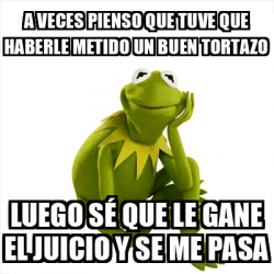 Meme Kermit The Frog A Veces Pienso Que Tuve Que Haberle Metido Un