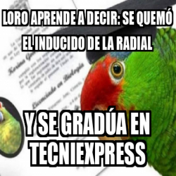 Meme Personalizado Loro Aprende A Decir Se Quem El Inducido De La