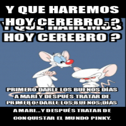 Meme Personalizado Y Que Haremos Hoy Cerebro Primero Darle Los