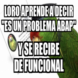 Meme Personalizado Loro Aprende A Decir Es Un Problema ABAP Y Se