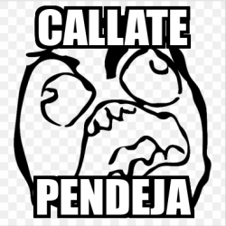 Meme Personalizado Callate Pendeja 32520241