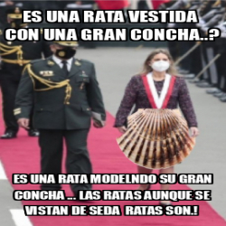 Meme Personalizado ES UNA RATA VESTIDA CON UNA GRAN CONCHA ES UNA