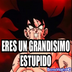 Meme Personalizado Eres Un Grandisimo Estupido