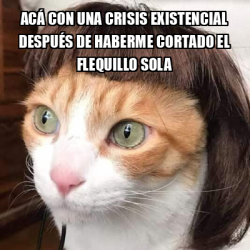 Meme Personalizado Acá con una crisis existencial después de haberme