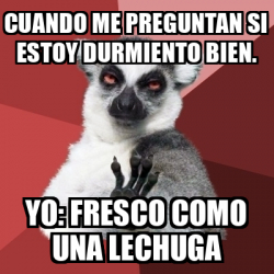 Meme Chill Out Lemur Cuando Me Preguntan Si Estoy Durmiento Bien Yo