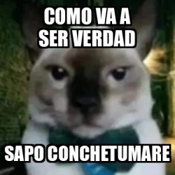 Meme Personalizado COMO VA A SER VERDAD SAPO CONCHETUMARE 33171568