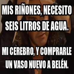 Meme Personalizado Mis riñones necesito seis litros de agua Mi