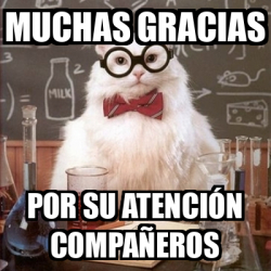 Meme Chemistry Cat Muchas Gracias Por Su Atenci N Compa Eros