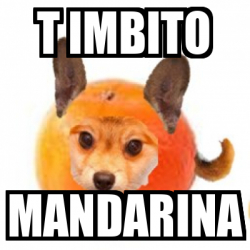 Meme Personalizado T IMBITO MANDARINA 33213751