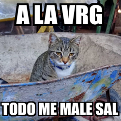 Meme Personalizado A La Vrg Todo Me Male Sal